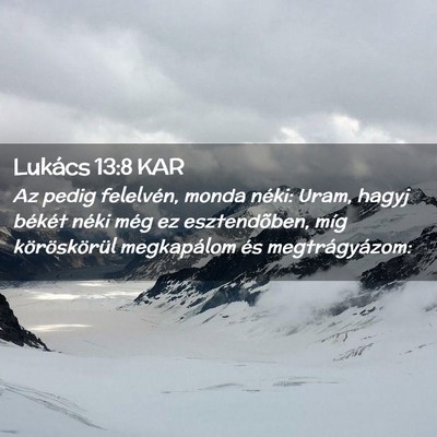 Picture 02 - Lukács 13:8 KAR - Az pedig felelvén, monda néki: Uram, hagyj - Bible Verse Picture