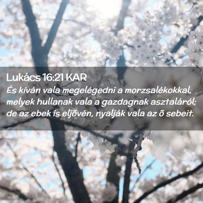 Picture 02 - Lukács 16:21 KAR - És kíván vala megelégedni a morzsalékokkal, - Bible Verse Picture