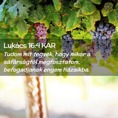 Picture 02 - Lukács 16:4 KAR - Tudom mit tegyek, hogy mikor a sáfárságtól - Bible Verse Picture