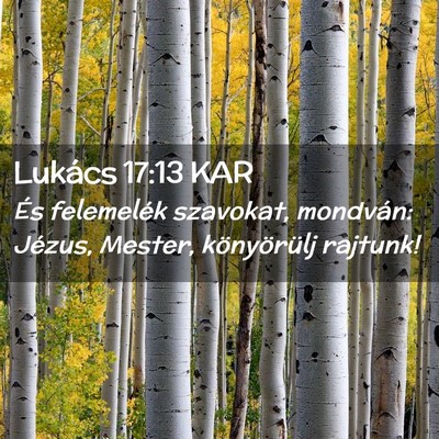 Picture 02 - Lukács 17:13 KAR - És felemelék szavokat, mondván: Jézus, - Bible Verse Picture