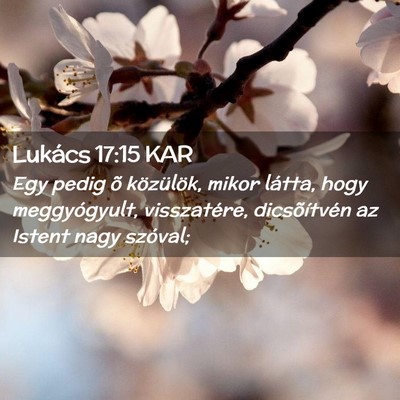 Picture 02 - Lukács 17:15 KAR - Egy pedig õ közülök, mikor látta, hogy - Bible Verse Picture