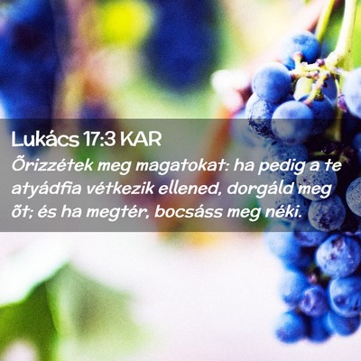 Picture 02 - Lukács 17:3 KAR - Õrizzétek meg magatokat: ha pedig a te - Bible Verse Picture