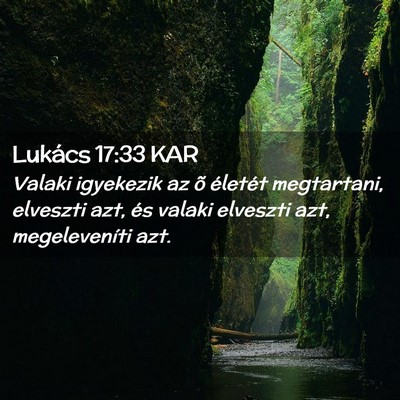 Picture 02 - Lukács 17:33 KAR - Valaki igyekezik az õ életét megtartani, - Bible Verse Picture