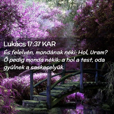 Picture 02 - Lukács 17:37 KAR - És felelvén, mondának néki: Hol, Uram? Õ - Bible Verse Picture