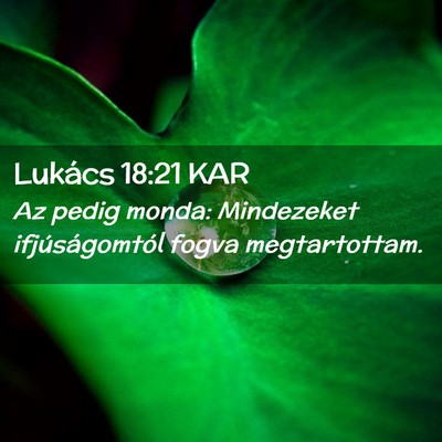 Picture 02 - Lukács 18:21 KAR - Az pedig monda: Mindezeket ifjúságomtól fogva - Bible Verse Picture