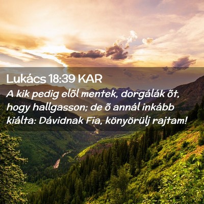 Picture 02 - Lukács 18:39 KAR - A kik pedig elõl mentek, dorgálák õt, hogy - Bible Verse Picture