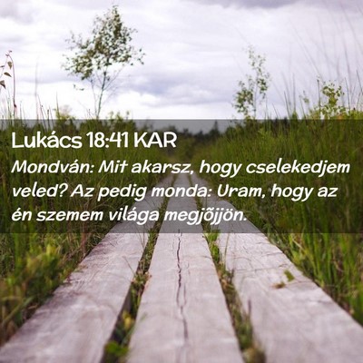 Picture 02 - Lukács 18:41 KAR - Mondván: Mit akarsz, hogy cselekedjem veled? Az - Bible Verse Picture