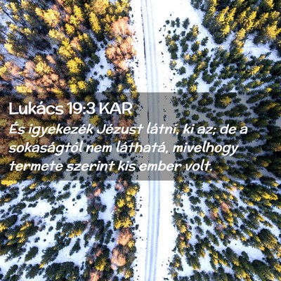Picture 02 - Lukács 19:3 KAR - És igyekezék Jézust látni, ki az; de a - Bible Verse Picture