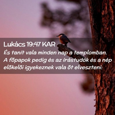 Picture 02 - Lukács 19:47 KAR - És tanít vala minden nap a templomban. A - Bible Verse Picture
