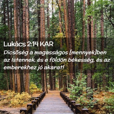Picture 02 - Lukács 2:14 KAR - Dicsõség a magasságos [mennyek]ben az - Bible Verse Picture