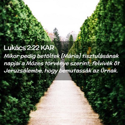 Picture 02 - Lukács 2:22 KAR - Mikor pedig betöltek [Mária] tisztulásának - Bible Verse Picture