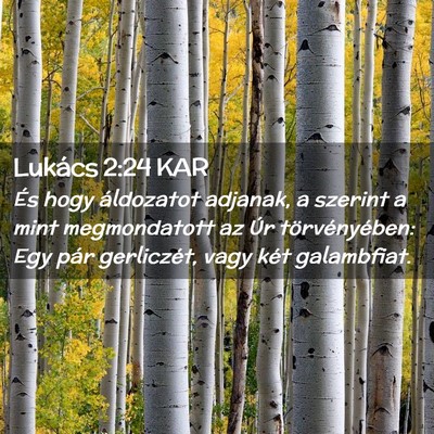 Picture 02 - Lukács 2:24 KAR - És hogy áldozatot adjanak, a szerint a mint - Bible Verse Picture