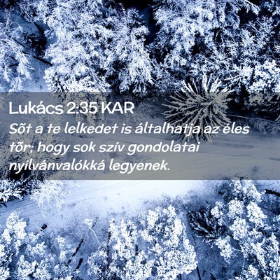 Picture 02 - Lukács 2:35 KAR - Sõt a te lelkedet is általhatja az éles tõr; - Bible Verse Picture