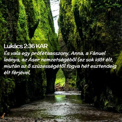 Picture 02 - Lukács 2:36 KAR - És vala egy prófétaasszony, Anna, a Fánuel - Bible Verse Picture
