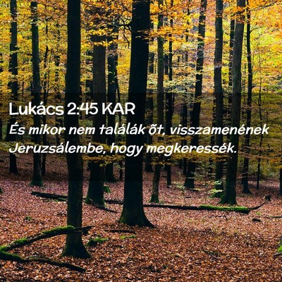 Picture 02 - Lukács 2:45 KAR - És mikor nem találák õt, visszamenének - Bible Verse Picture