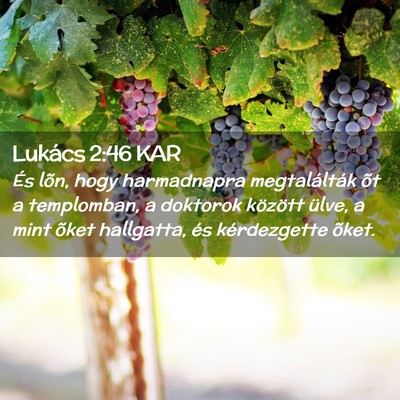 Picture 02 - Lukács 2:46 KAR - És lõn, hogy harmadnapra megtalálták õt a - Bible Verse Picture