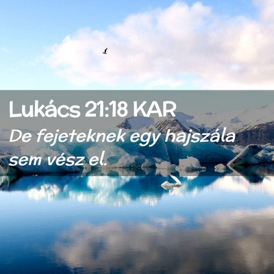 Picture 02 - Lukács 21:18 KAR - De fejeteknek egy hajszála sem vész - Bible Verse Picture