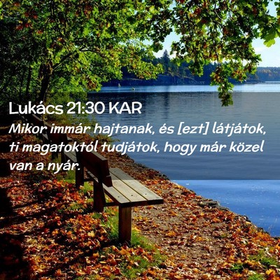Picture 02 - Lukács 21:30 KAR - Mikor immár hajtanak, és [ezt] látjátok, ti - Bible Verse Picture