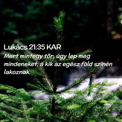Picture 02 - Lukács 21:35 KAR - Mert mintegy tõr, úgy lep meg mindeneket, a kik - Bible Verse Picture