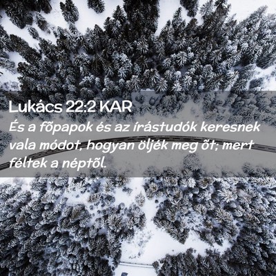 Picture 02 - Lukács 22:2 KAR - És a fõpapok és az írástudók keresnek vala - Bible Verse Picture