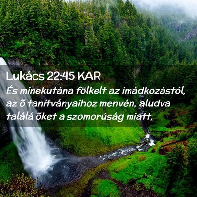 Picture 02 - Lukács 22:45 KAR - És minekutána fölkelt az imádkozástól, az - Bible Verse Picture