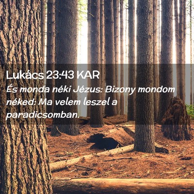 Picture 02 - Lukács 23:43 KAR - És monda néki Jézus: Bizony mondom néked: Ma - Bible Verse Picture