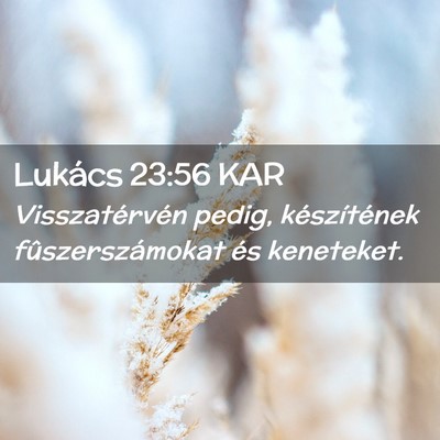Picture 02 - Lukács 23:56 KAR - Visszatérvén pedig, készítének - Bible Verse Picture