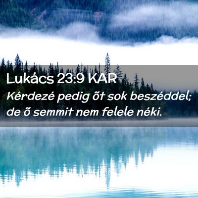 Picture 02 - Lukács 23:9 KAR - Kérdezé pedig õt sok beszéddel; de õ semmit - Bible Verse Picture