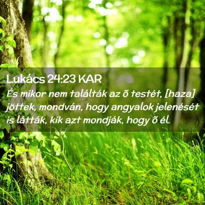 Picture 02 - Lukács 24:23 KAR - És mikor nem találták az õ testét, [haza] - Bible Verse Picture