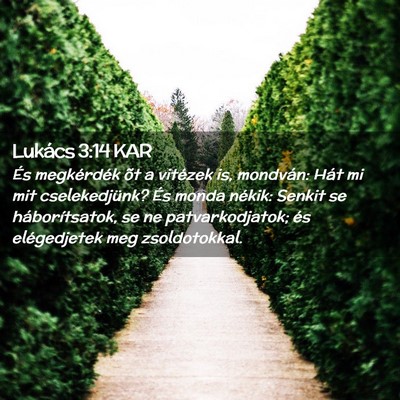 Picture 02 - Lukács 3:14 KAR - És megkérdék õt a vitézek is, mondván: Hát - Bible Verse Picture