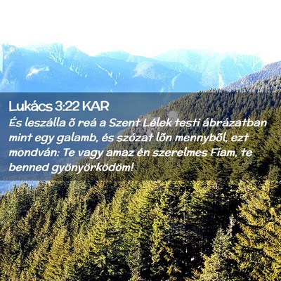 Picture 02 - Lukács 3:22 KAR - És leszálla õ reá a Szent Lélek testi - Bible Verse Picture