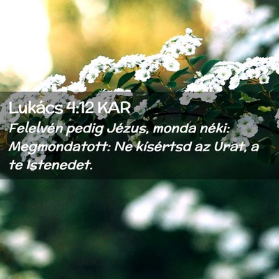 Picture 02 - Lukács 4:12 KAR - Felelvén pedig Jézus, monda néki: - Bible Verse Picture