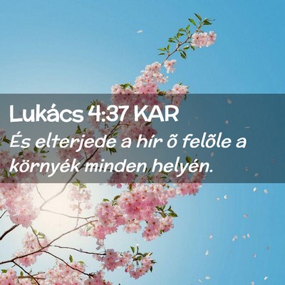 Picture 02 - Lukács 4:37 KAR - És elterjede a hír õ felõle a környék - Bible Verse Picture