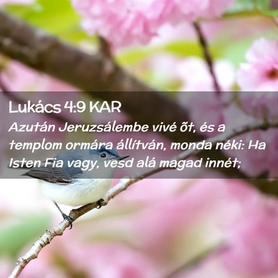 Picture 02 - Lukács 4:9 KAR - Azután Jeruzsálembe vivé õt, és a templom - Bible Verse Picture