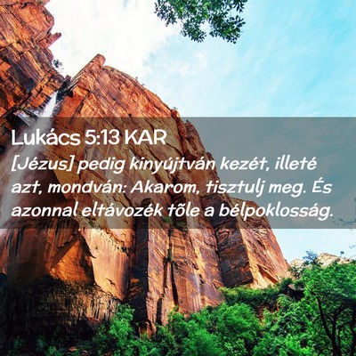 Picture 02 - Lukács 5:13 KAR - [Jézus] pedig kinyújtván kezét, illeté azt, - Bible Verse Picture