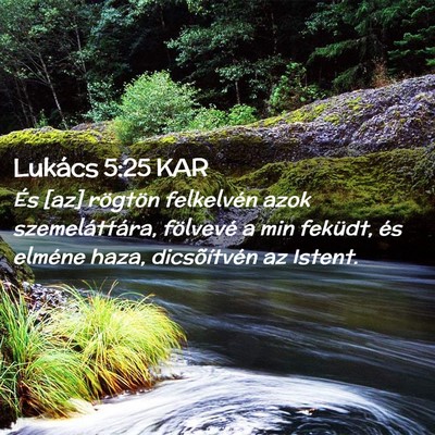 Picture 02 - Lukács 5:25 KAR - És [az] rögtön felkelvén azok szemeláttára, - Bible Verse Picture