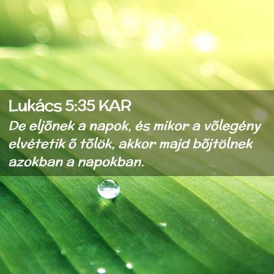 Picture 02 - Lukács 5:35 KAR - De eljõnek a napok, és mikor a võlegény - Bible Verse Picture