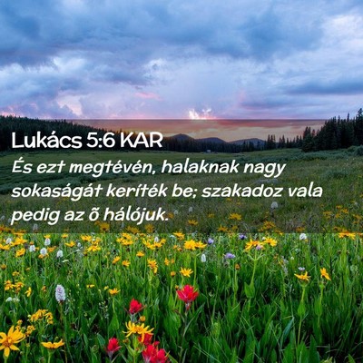 Picture 02 - Lukács 5:6 KAR - És ezt megtévén, halaknak nagy sokaságát - Bible Verse Picture