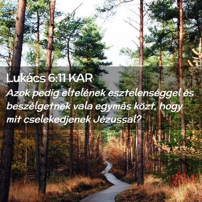 Picture 02 - Lukács 6:11 KAR - Azok pedig eltelének esztelenséggel és - Bible Verse Picture