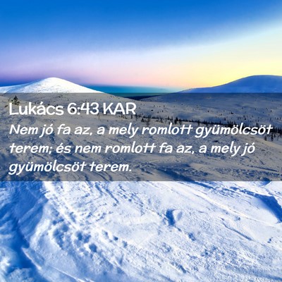 Picture 02 - Lukács 6:43 KAR - Nem jó fa az, a mely romlott gyümölcsöt - Bible Verse Picture