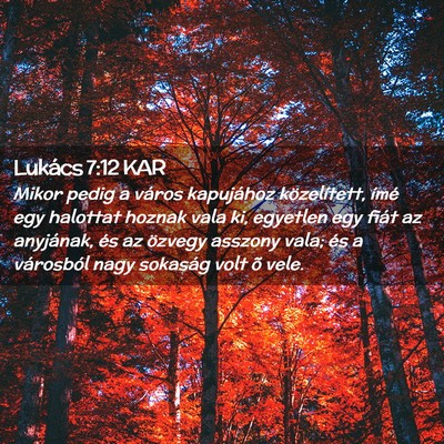 Picture 02 - Lukács 7:12 KAR - Mikor pedig a város kapujához közelített, - Bible Verse Picture