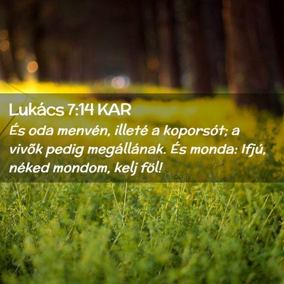 Picture 02 - Lukács 7:14 KAR - És oda menvén, illeté a koporsót; a vivõk - Bible Verse Picture