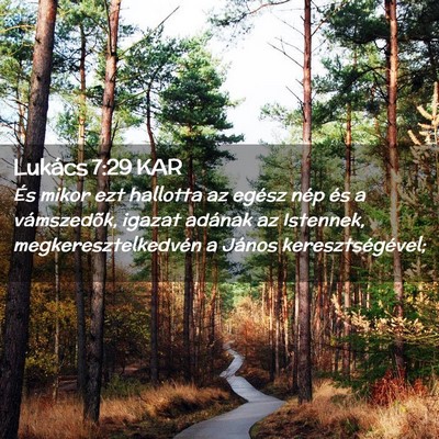 Picture 02 - Lukács 7:29 KAR - És mikor ezt hallotta az egész nép és a - Bible Verse Picture