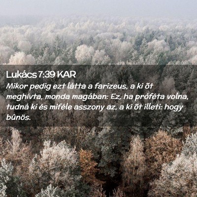 Picture 02 - Lukács 7:39 KAR - Mikor pedig ezt látta a farizeus, a ki õt - Bible Verse Picture