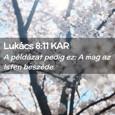 Picture 02 - Lukács 8:11 KAR - A példázat pedig ez: A mag az Isten - Bible Verse Picture