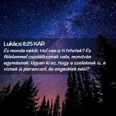 Picture 02 - Lukács 8:25 KAR - És monda nékik: Hol van a ti hitetek? És - Bible Verse Picture