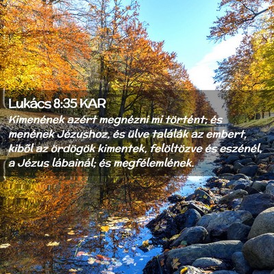 Picture 02 - Lukács 8:35 KAR - Kimenének azért megnézni mi történt; és - Bible Verse Picture