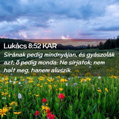 Picture 02 - Lukács 8:52 KAR - Sírának pedig mindnyájan, és gyászolák azt; - Bible Verse Picture