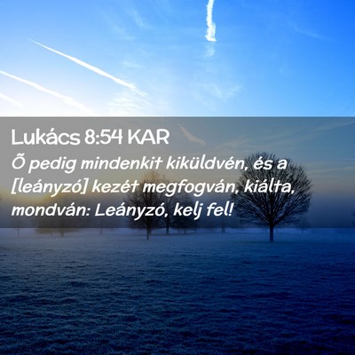 Picture 02 - Lukács 8:54 KAR - Õ pedig mindenkit kiküldvén, és a [leányzó] - Bible Verse Picture