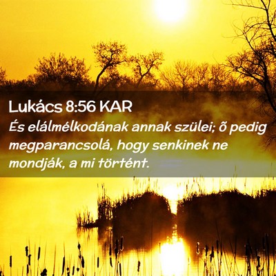 Picture 02 - Lukács 8:56 KAR - És elálmélkodának annak szülei; õ pedig - Bible Verse Picture